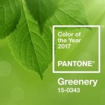 Quelle est la couleur de l’année 2017?